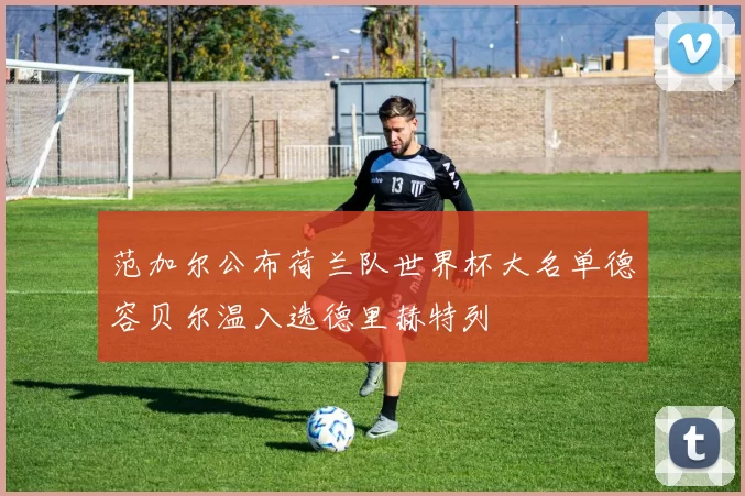 范加尔公布荷兰队世界杯大名单德容贝尔温入选德里赫特列