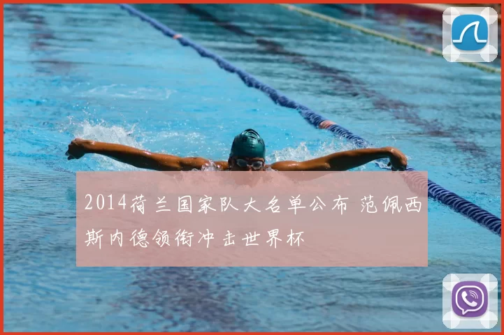 2014荷兰国家队大名单公布 范佩西斯内德领衔冲击世界杯