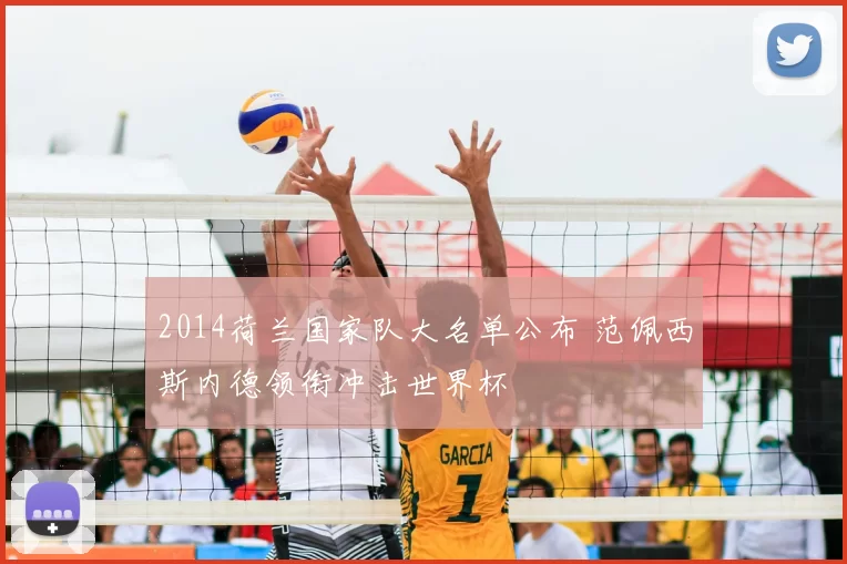 2014荷兰国家队大名单公布 范佩西斯内德领衔冲击世界杯