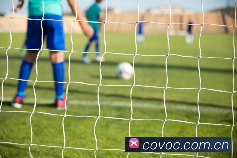 世界杯中国官网平台生态图